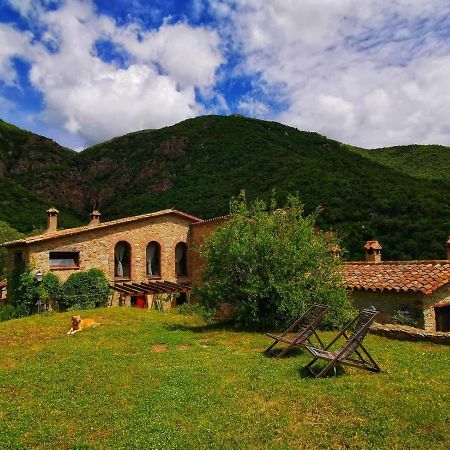 Maison d'hôtes Mas Els Terrats à Susqueda Extérieur photo